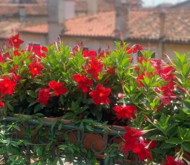 Castello Apartment | Venice Heaven Apartments Ca' Giulia