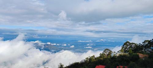 Vattakanal House | Venice Home Stay