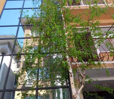 Plovdiv Center House | Venis House