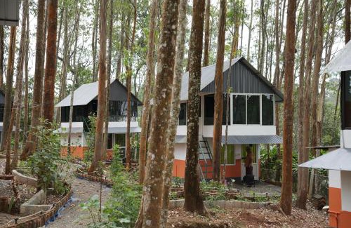 Kunchithanny Other | Ventos Tent Stay and Aframes