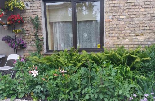 Ventspils Apartment | Ventspils Apartments
