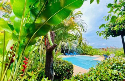 Doradal House | Verde Amanecer