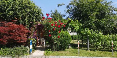 Wiesent House | Vermietung Gisl