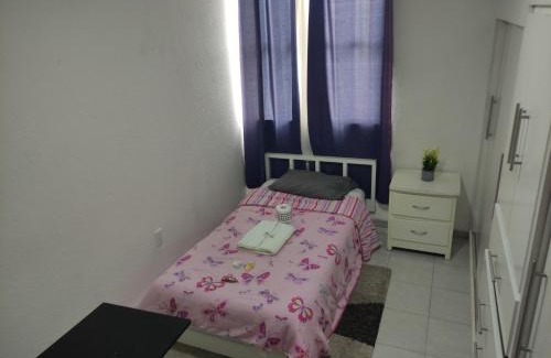 San Luis Potosi House | Vertice