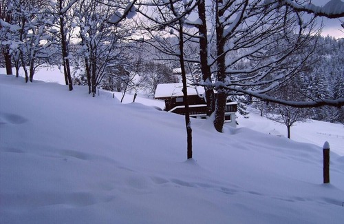 Gerardmer Apartment | Very beautiful chalet-style studio with lake view near the ski slopes for 2 people 1 child