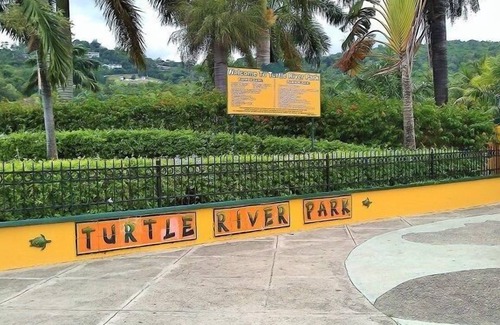 Ocho Rios Condo | Very Cosy Studio Apartment