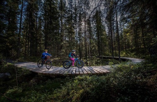 Trysil Cabin | Very nice mountain cabin, ski in/out