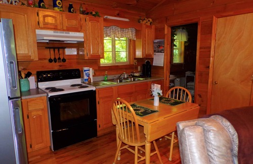 Townsend Cabin | ❤ VERY ROMANTIC CABIN ❤ Near Cades Cove, WIFI, Hot Tub, Jacuzzi, Sauna