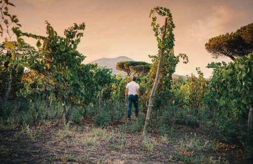 Trecase Bed & Breakfast | Vesuvio Casa de Charme