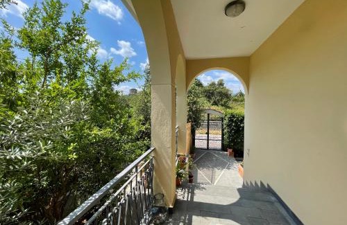 Mount Vesuvius - Pompei House | Vesuvius garden