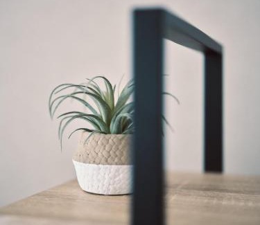 Suizenji Apartment | vetta kumamoto suizenji 403