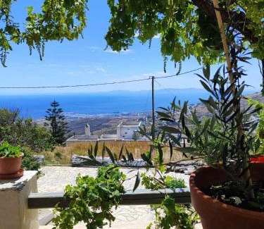 Tinos Apartment | Vgena's house 2 the little house