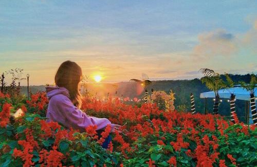 Kon Plong Hotel | Việt Úc Flower Garden