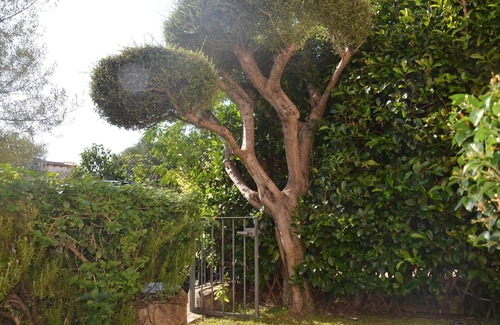 Limpiddu Apartment | Via Arno - Fbu-mazzu01