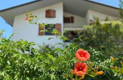 Mondolfo Apartment | Via Verdi 14