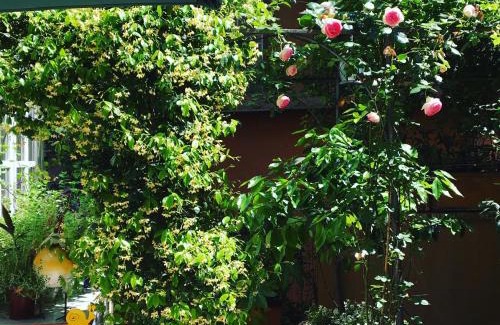 Rione IV Campo Marzio Apartment | Viadelloca35