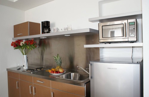 Chico Apartment | Viaggio Nueve Tres Suites