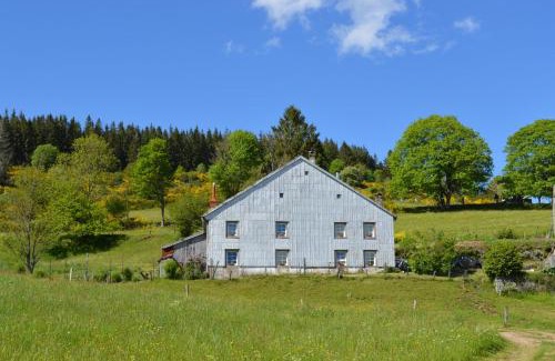Saulxures-sur-Moselotte House | viaux-fontaine
