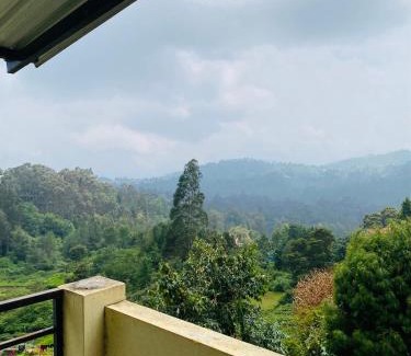 Wellington Cabin | Vibe n rejoice