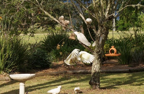 Kangaroo Valley Bed & Breakfast | Vicarage View Cottage