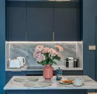 Tachbrook Apartment | Victorian Blue - 2 bedroom flat Pimlico