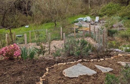 Woodfin House | Victory Garden Cottage 12 min to downtown with fire pit and