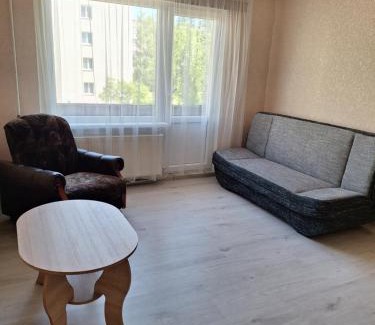 Rezekne Apartment | Vienistabas dzīvoklis