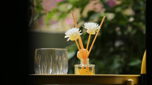Hang Trong Apartment | Vietnam Travelers Home 2 with Cozy Private Balcony
