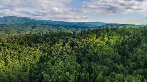 Gatlinburg - Pigeon Forge House | View! Private! Hot Tub,Pool Table,Fireplace,RELAX!