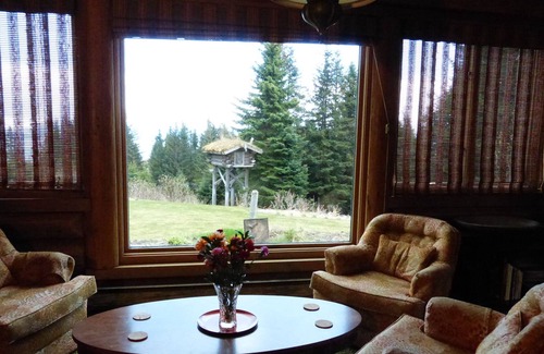 Diamond Ridge House | View! Secluded,Brief 10 minute drive to town, Family Friendly Log Home