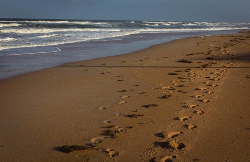 Flagler Beach Apartment | View the ocean at Flagler Beach, Florida