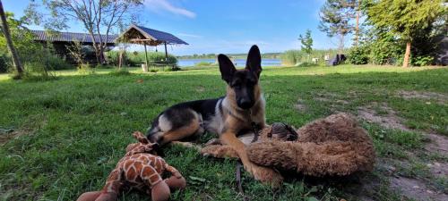 Vilnius County Other | Vigio Brasta camping