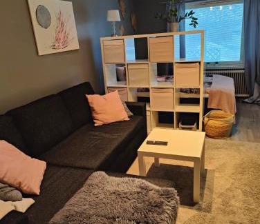 Pori Apartment | Viihtyisä yksiö Porissa
