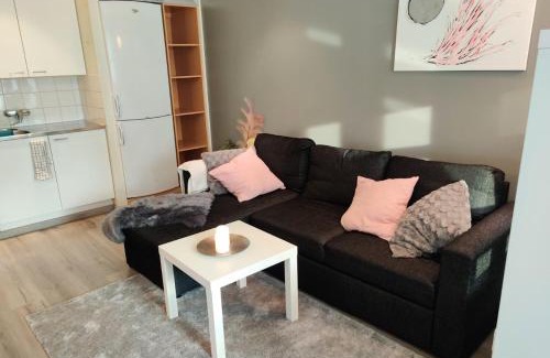 Pori Apartment | Viihtyisä yksiö Porissa