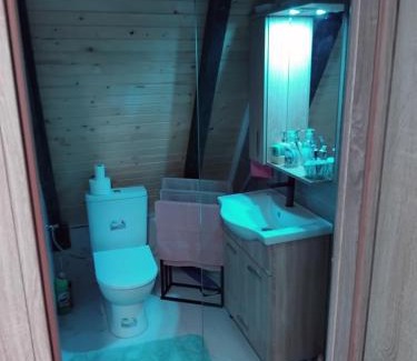Milici House | Vikendica Djuric