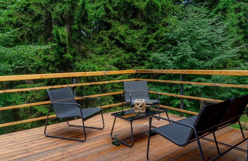 Kopaonik Ski Chalet | VIKTORIJA CHALET IN THE HEART OF MOUNT KOPAONIK