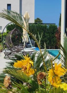 Qerek Villa | Vila 29 Valamar