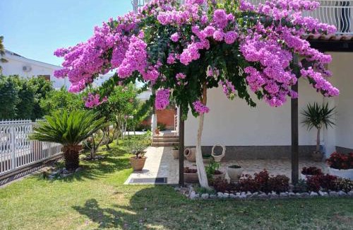 Gjerana House | Vila Adriatik