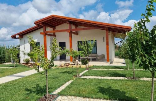 Nufaru Villa | Vila Alma