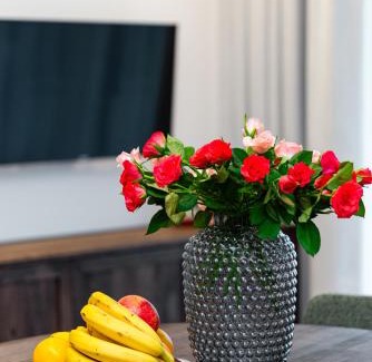 Palanga Apartment | Vila Barbora 2