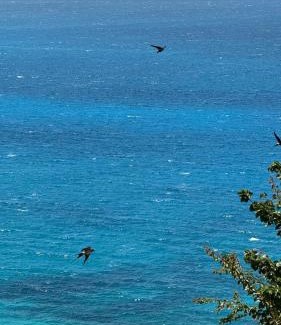 Sarande House | Vila Bedro