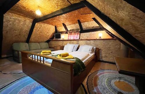 Vojnic House | Vila Bella Vista
