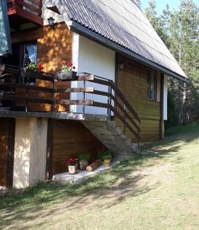 Zlatibor Villa | vila Borova glava