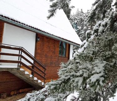Zlatibor Villa | vila Borova glava