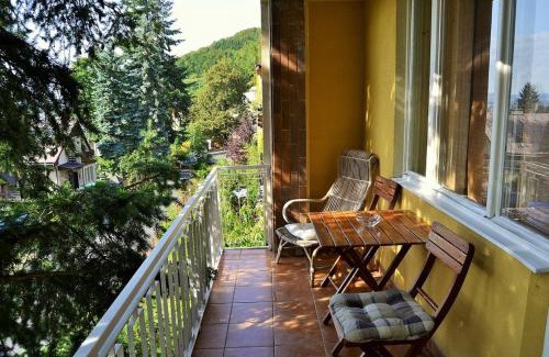 Karlovy Vary Apartment | Vila Daniela