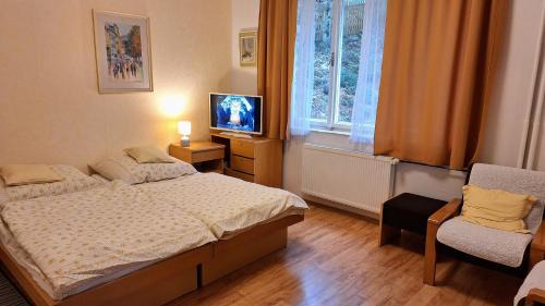 Karlovy Vary Apartment | Vila Daniela