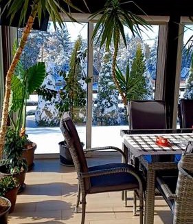 Zlatibor Apartment | Vila Dzavric