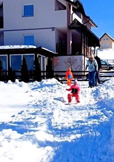 Zlatibor Apartment | Vila Dzavric