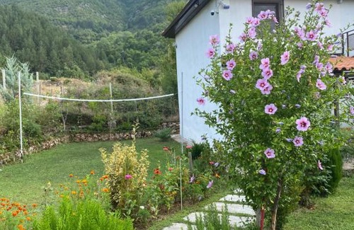 Dajt House | Vila elektra