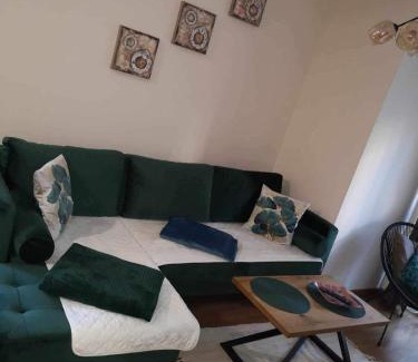 Zlatibor Apartment | Vila ELSA 2